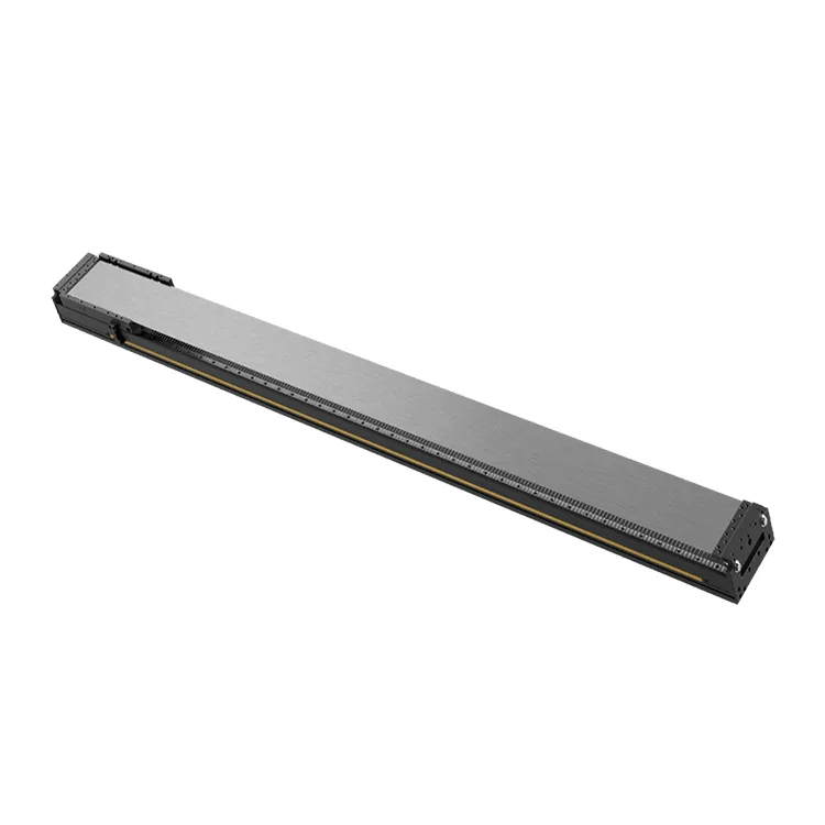 Long Stroke Linear Motor Module